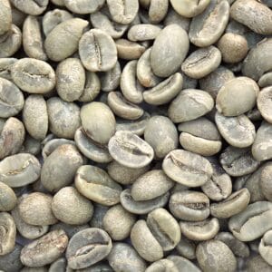 coffee arabica Aceh Gayo​ Indonesia