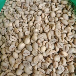 Coffee Robusta Java Preanger​ Indonesia