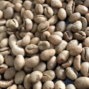 coffee robusta lampung indonesia